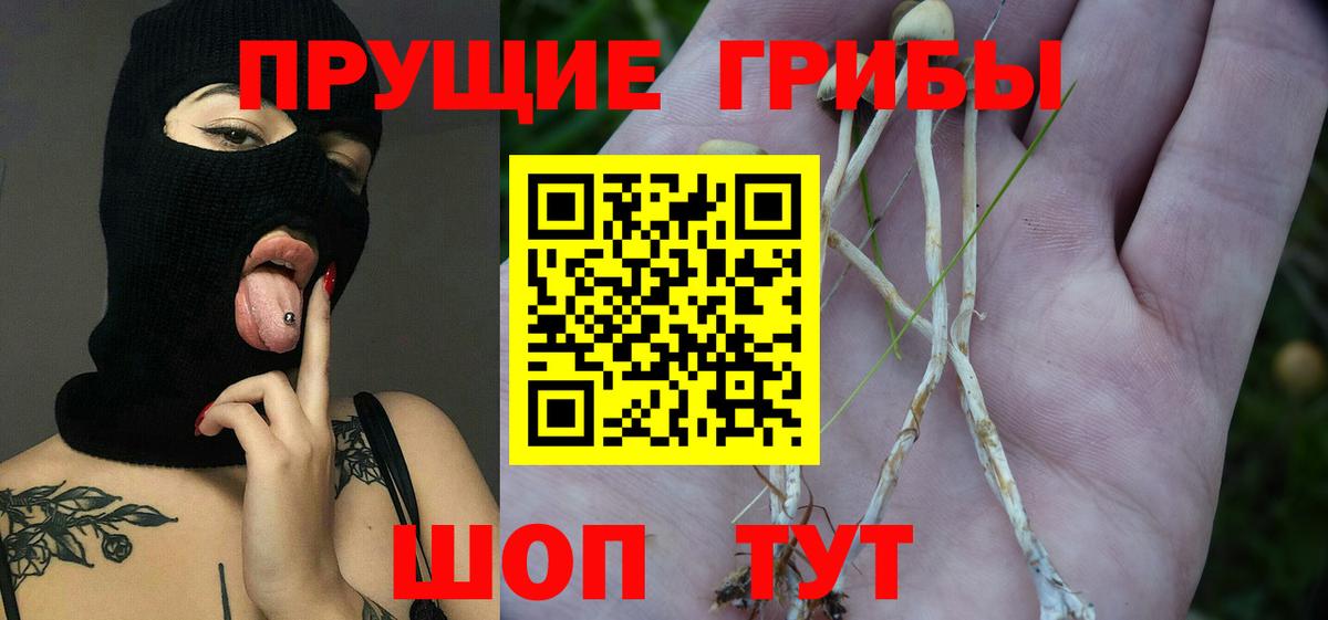 Галлюциногенные грибы GOLDEN TEACHER Сорочинск